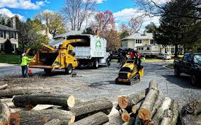 Best Storm Damage Tree Cleanup  in Deer Park, OH