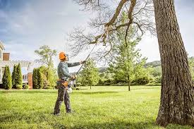 Lawn Pest Prevention in Deer Park, OH