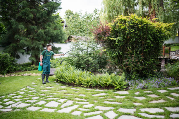 Best Soil Testing and Treatment  in Deer Park, OH
