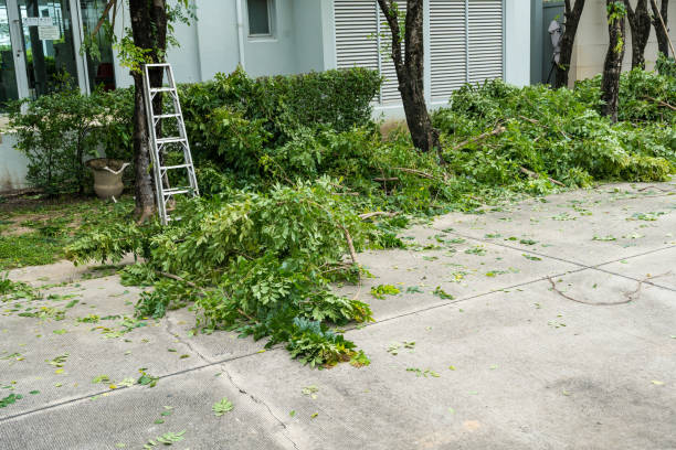 Best Emergency Tree Removal  in Deer Park, OH