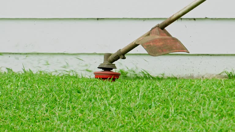 Best Lawn Pest Prevention  in Deer Park, OH